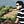 Go to the profile of Aayush Jain