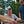 Go to the profile of Adin Dobkin