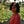Go to the profile of Sara Khan