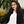 Go to the profile of Maya Zlatanova