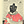 Go to the profile of Tana Oshima