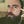 Go to the profile of Alessandro Miracapillo