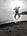 Start-Up Leap