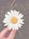 My Sprinkling Life
