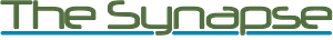 The Synapse