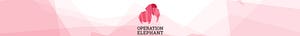 Opération Éléphant