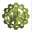 peacecouncil.com, a foundation in Texas