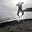 Start-Up Leap