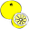 Daily Grapefruit