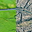 Nature’s Enterprise