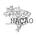 Go to the profile of Coletivo Nação