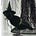 Go to the profile of Amsel