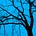 Go to the profile of Martin Philpot