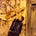 Go to the profile of canan özkal