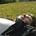 Go to the profile of Andrew C Ward