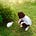 Go to the profile of Christina Piao