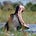 Go to the profile of Into the Okavango