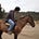 Go to the profile of Claudio Guerra