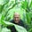 Go to the profile of Thomas J. Lee
