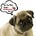 Go to the profile of Petre Locationsg