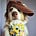 Go to the profile of Mark May Hem Flowers