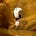 Go to the profile of Zion Tam