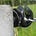Go to the profile of Was man so liest