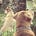 Go to the profile of MaryEllen Pyle