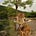 Go to the profile of Judy Westra