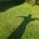 Go to the profile of Susanna Olson