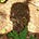 Go to the profile of Philip Reed