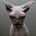 Go to the profile of Iulian Juhasz