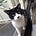 Go to the profile of ぴーちゃん