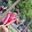 Go to the profile of Thanh Hằng