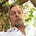 Go to the profile of Mark Hawkins