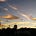 Go to the profile of Making Christchurch