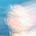 Go to the profile of Andrew Rapp