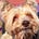 Go to the profile of Kimba Wimba