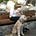 Go to the profile of Cyndi Perlman Fink