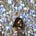 Go to the profile of eliana dianda