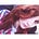 Go to the profile of Melissa Amaral