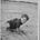 Go to the profile of Karen Collins-Fleming