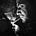 Go to the profile of Giovanni Zuccaro
