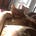 Go to the profile of Ian Miles Ownbey