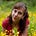Go to the profile of Katy Farber