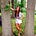 Go to the profile of Alyssa Fusillo