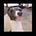 Go to the profile of Trin Kulon
