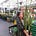 Go to the profile of Grace Caiazza
