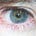 Go to the profile of Sam Glickman