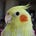 Go to the profile of Kinny Cheng